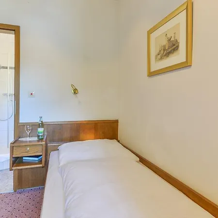 Ξενοδοχείο Zur Muehle Bad Brückenau