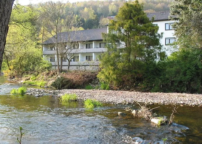 Zur Muehle ホテル 3*